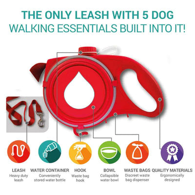 3 in 1 Pet Leash - Pet Dreamworld