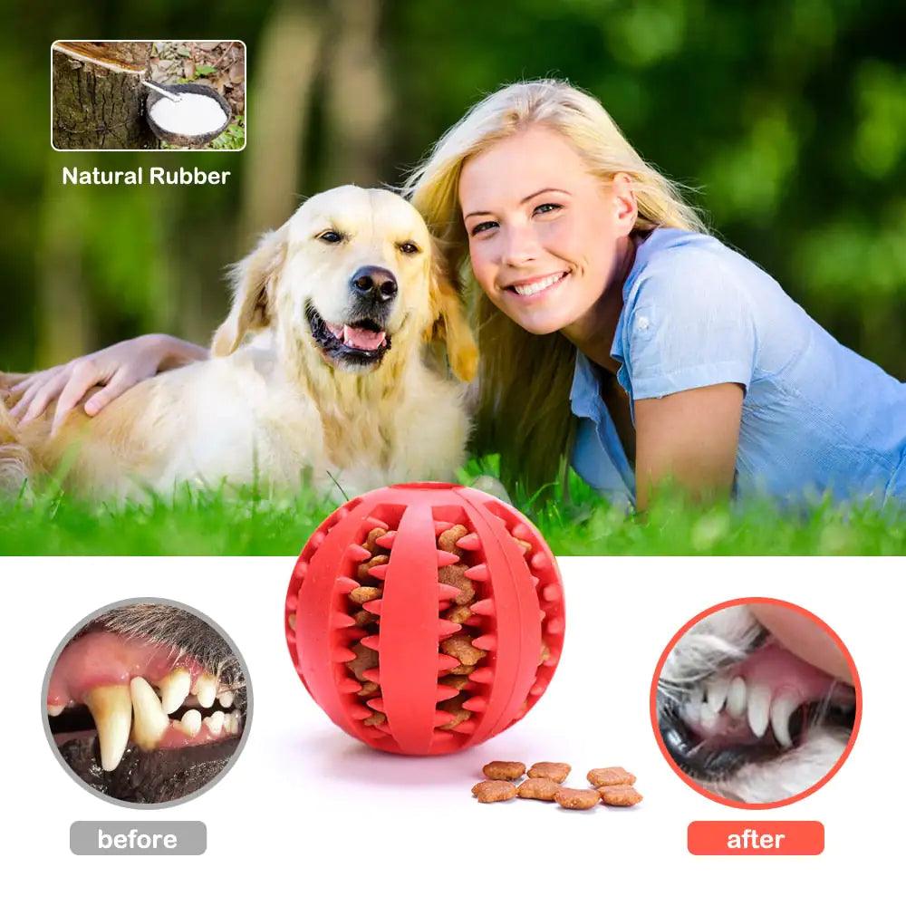 Watermelon Ball Dog Toy - Pet Dreamworld