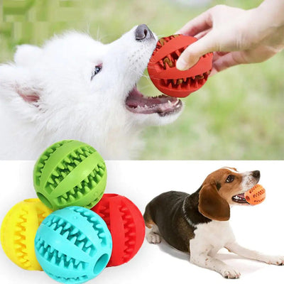 Watermelon Ball Dog Toy - Pet Dreamworld