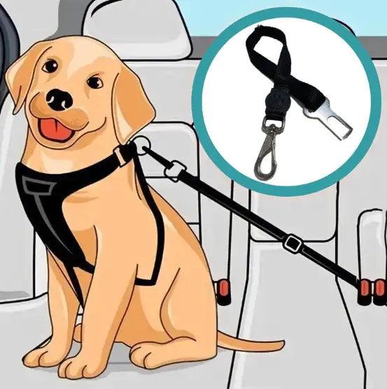 Dog Seatbelt - Pet Dreamworld